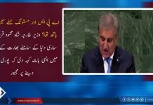 India refused peace talks offer on wobbly grounds, Qureshi says at UNGA