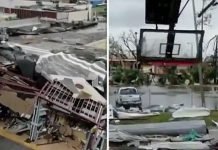 These Photos Shows The Catastrophic Wind Damage Caused By Hurricane Michael Hurricane Michael