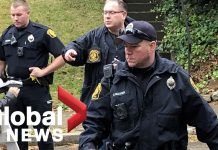 Pittsburgh Synagogue Shooting: Arose to 11 People Dead, Suspect in Custody