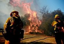 29 Dead In California Fires Rage At Both Ends Of State