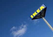 Italian Ikea Store Opens Doors To Stray Dogs And The Internet Is Lapping It Up Ikea