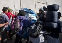 Here Are Some Of The Stories You Missed Over The Thanksgiving Weekend Thanksgiving