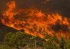 Two Fast-Moving Fires Rip Through Los Angeles, Ventura Counties Ventura