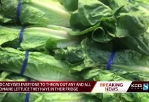 Romaine Lettuce Is Unsafe To Eat, Should Be Thrown Out: CDC