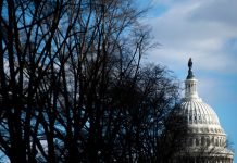 The Violence Against Women Act Just Expired women