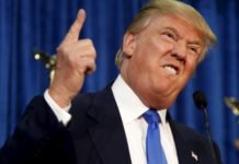 Trump Team Cuts Ties With Pollsters After Dismal Polling Numbers Leaked Trump