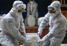 How The Coronavirus Crisis Began: Here You May Know About It. coronavirus